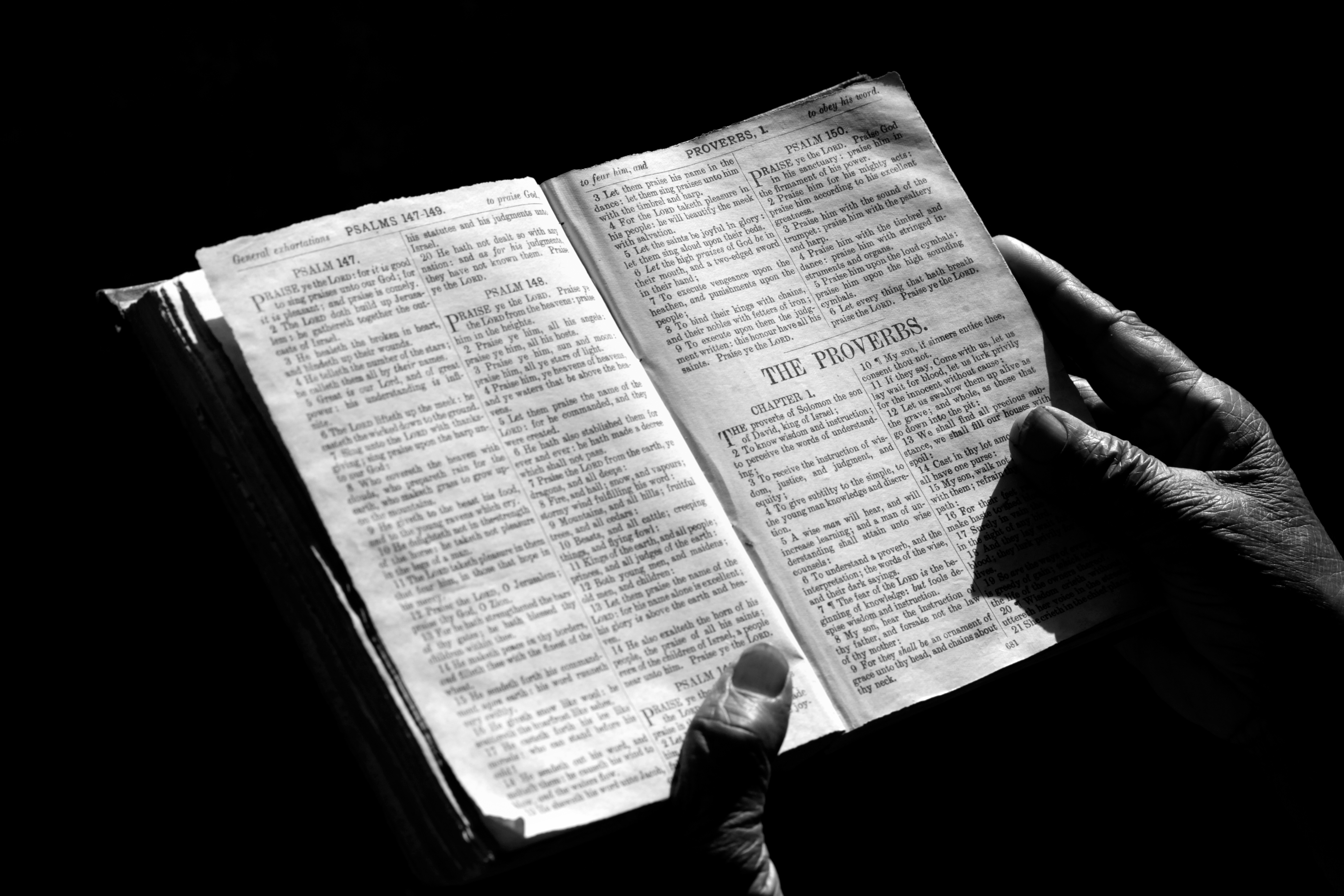 Bible essay samples picture