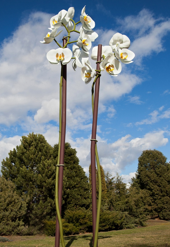 Two Orchids: Decorative Neutrality