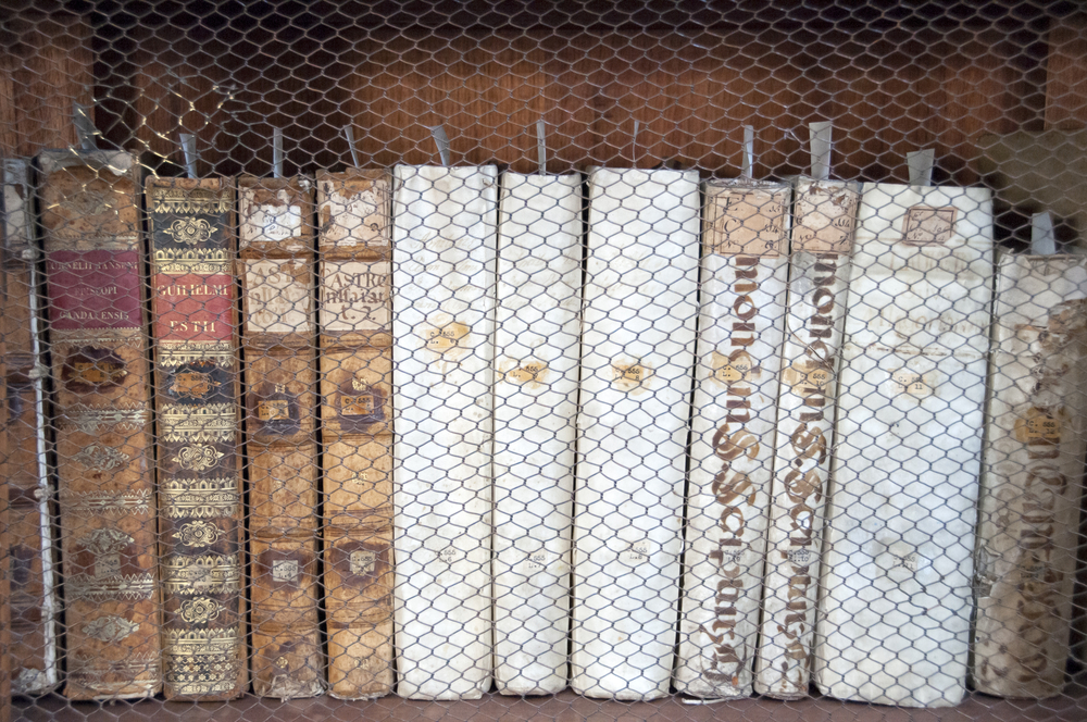 A set of books with Spanish titles on a bookshelf.