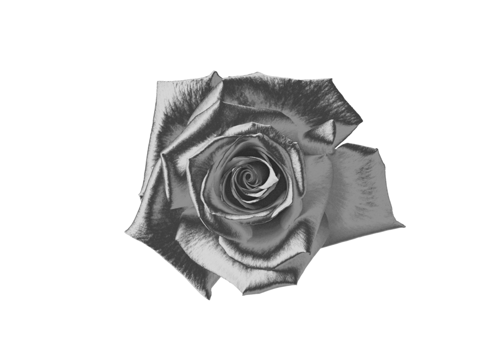 A Tribute To The Late Rosemary Mayer