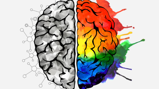 An image of a brain, half of which is shown in black and white and the other half of which is rainbow-colored.