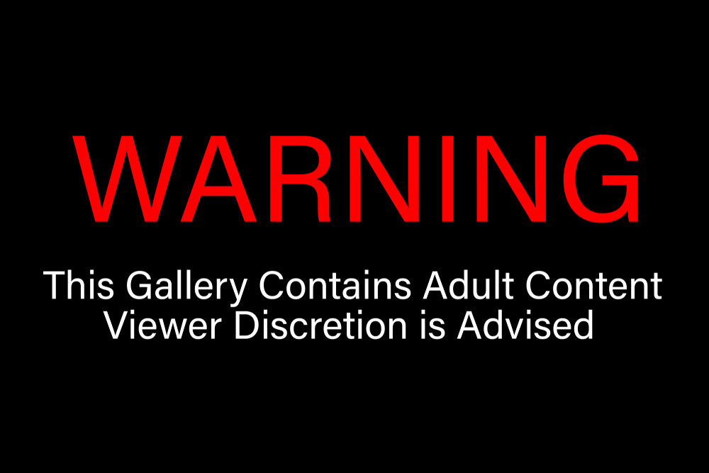 Debate Over Trigger Warnings Sparks a Rift in the Art World