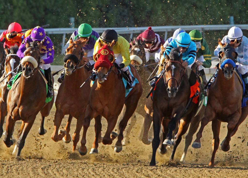 Thoroughbreds
