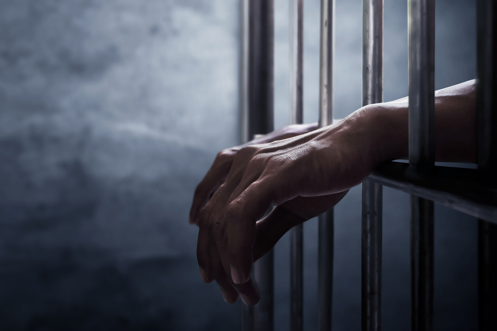 Australian Artists Team Up with Inmates to Create Video Art